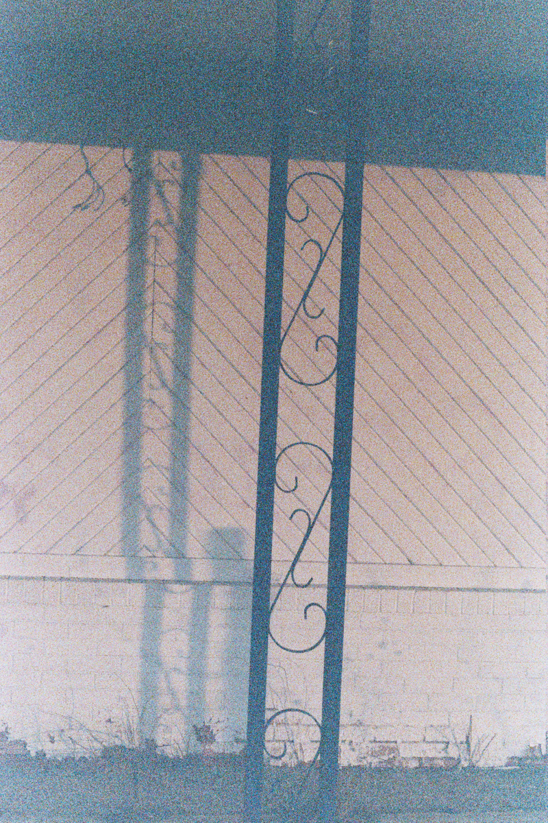 Illustration for article titled So I tried shooting Natura1600 at dusk/night